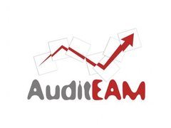 Audit EAM, Servicii de audit