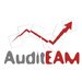 Audit EAM, Servicii de audit